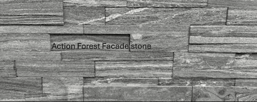 ActionForest_a68d8abc-5cee-49d6-884b-61ac04a49394